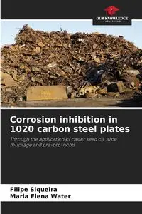 Corrosion inhibition in 1020 carbon steel plates - Siqueira Filipe