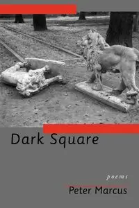 Dark Square - Marcus Peter