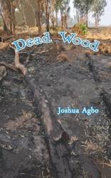 Dead Wood - Joshua Agbo