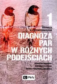 Diagnoza par w różnych podejściach. Diagnoza w psychoterapii par. Tom 1 - Hanna Pinkowska-Zielińska