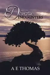 Divine Encounters - Thomas AE