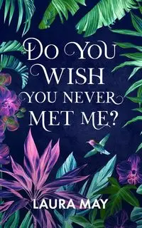 Do You Wish You Never Met Me? - May Laura