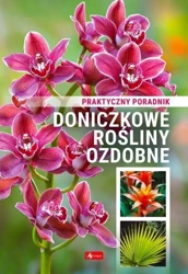 Doniczkowe rośliny ozdobne. Poradnik praktyczny - praca zbiorowa