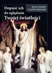 Dopuść ich do oglądania Twojej światłości - Andrzej Ochman