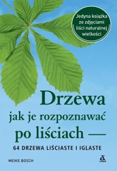 Drzewa jak je rozpoznawać po liściach - Meike Bosch