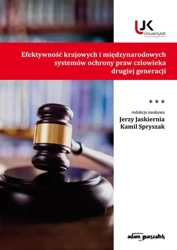 Efektywność krajowych i międzynarodowych... T.3 - Jerzy Jaskiernia, Kamil Spryszak