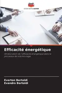 Efficacité énergétique - Bertoldi Everton