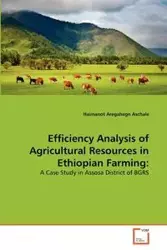 Efficiency Analysis of Agricultural Resources in Ethiopian Farming - Aschale Haimanot Aregahegn