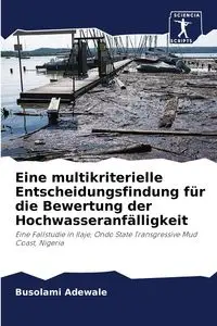 Eine multikriterielle Entscheidungsfindung für die Bewertung der Hochwasseranfälligkeit - Adewale Busolami