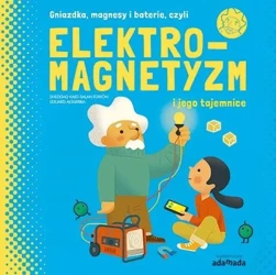 Elektromagnetyzm i jego tajemnice - S. Kaid-Salah Ferrón