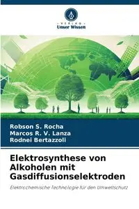 Elektrosynthese von Alkoholen mit Gasdiffusionselektroden - S. Rocha Robson