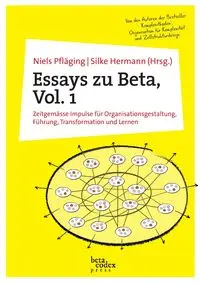 Essays zu Beta, Vol. 1 - Pfläging Niels