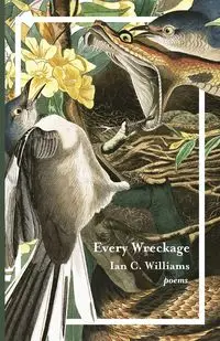 Every Wreckage - Williams Ian C.