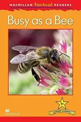 Factual: Busy as a Bee 1+ - Louise Caroll P.