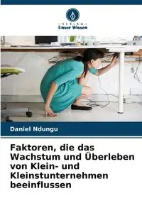 Faktoren, die das Wachstum und Überleben von Klein- und Kleinstunternehmen beeinflussen - Daniel Ndungu