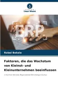 Faktoren, die das Wachstum von Kleinst- und Kleinunternehmen beeinflussen - Bekele Robel