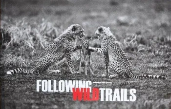 Following Wild Trails Tomasz Gudzowaty - Tomasz Gudzowaty