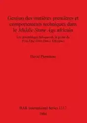 Gestion des matières premières et comportements techniques dans le Middle Stone Age africain - David Pleurdeau