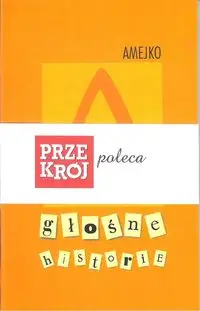 Głośne historie - Lidia Amejko