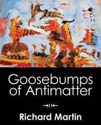 Goosebumps of Antimatter - Martin Richard