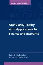 Granularity Theory with Applications to Finance and Insurance - Patrick Gagliardini