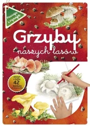 Grzyby naszych lasów - Katarzyna Kopiec-Sekieta