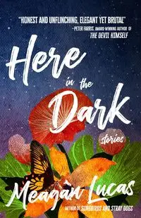 Here in the Dark - Lucas Meagan