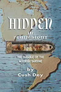 Hidden in Plain Sight - Dey Cush