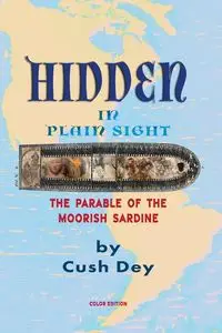 Hidden in Plain Sight - Dey Cush