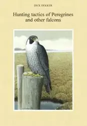 Hunting Tactics of Peregrines and other Falcons - Dick Dekker