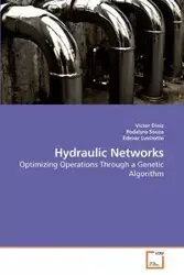 Hydraulic Networks - Victor Diniz