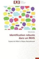 Identification robuste dans un rkhs - SOUILEM-N