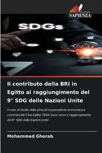 Il contributo della BRI in Egitto al raggiungimento del 9° SDG delle Nazioni Unite - Mohammed Ghorab