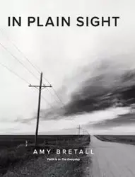 In Plain Sight - Amy Bretall