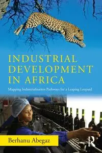 Industrial Development in Africa - Abegaz Berhanu