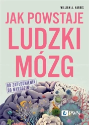 Jak powstaje ludzki mózg - William Harris A., Anna Binder, Marek Binder