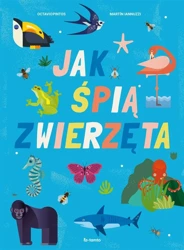 Jak śpią zwierzęta - Octavio Pintos, Martin Lannuzzi, Joanna Ostrowska