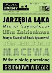 Jarzębia Łąka Krótkie Formy 4 - MICHAŁ SZYMAŃCZAK