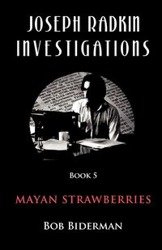 Joseph Radkin Investigations - Book 5 - Bob Biderman