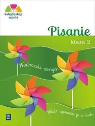Kalejdoskop ucznia. Pisanie kl. 2 WSiP - Danuta Kręcisz, Beata Lewandowska