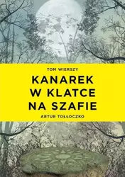 Kanarek w klatce na szafie - Artur Tołłoczko