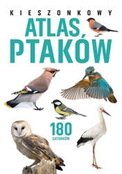 Kieszonkowy atlas ptaków. 180 gatunków - Jan Król