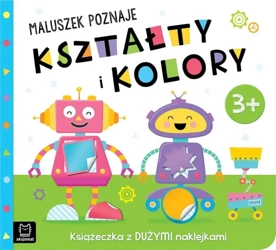 Książeczka z dużymi naklejkami 3+ - Agnieszka Bator