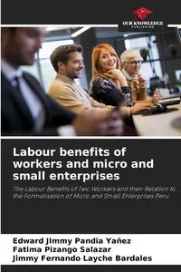 Labour benefits of workers and micro and small enterprises - Edward Jimmy Pandia Yañez