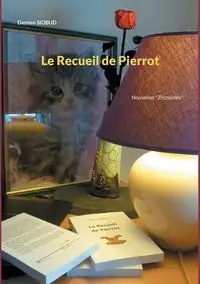 Le Recueil de Pierrot - Damien Siobud