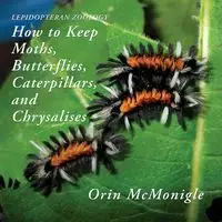 Lepidopteran Zoology - McMonigle Orin