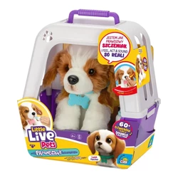 Little Live Pets - Piesek z transporterkiem - Cobi