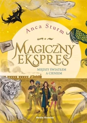 Magiczny ekspres cz. 2 Między światłem a cieniem - Anca Sturm