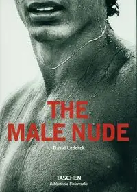 Male Nude - David Leddick