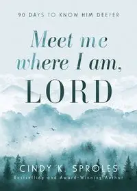 Meet Me Where I Am, Lord - Cindy Sproles K